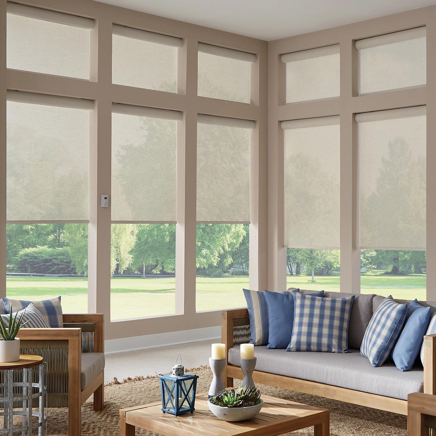 Roller Shades Roller Shades in a living room window