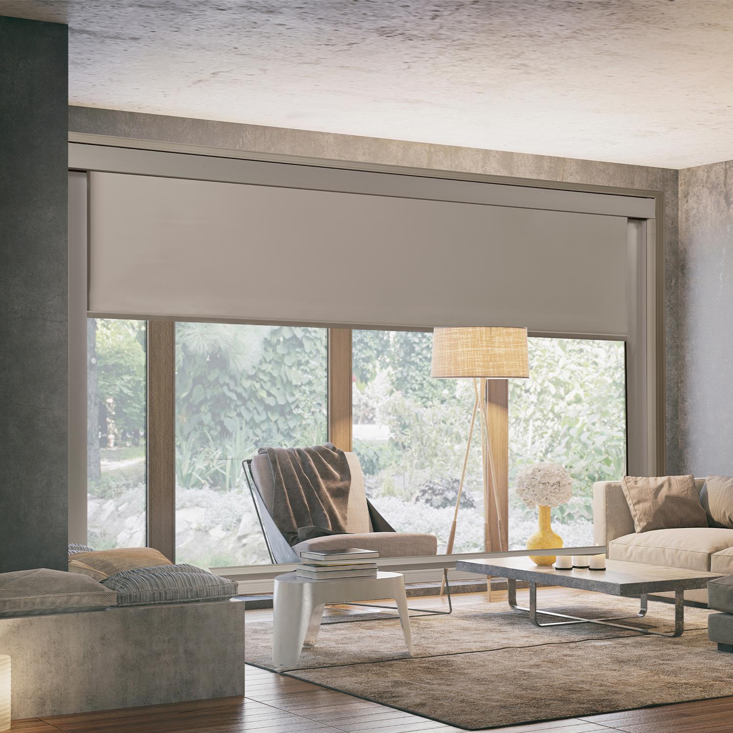 Roller Shades Roller Shades in a living room window